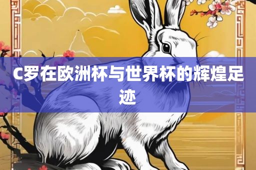 C罗在欧洲杯与世界杯的辉煌足迹眉山市正发家政服务有限公司