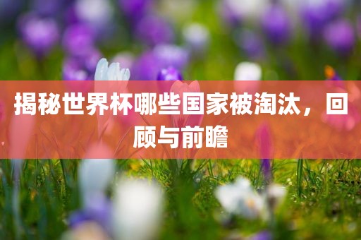 揭秘世界杯哪些国家被淘汰，回顾与前瞻