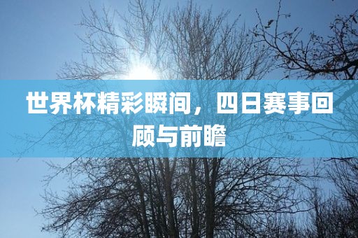 世界杯精彩瞬间，四日赛事回顾与前瞻