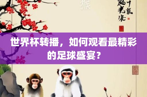 世界杯转播，如何观看最精彩的足球盛宴？