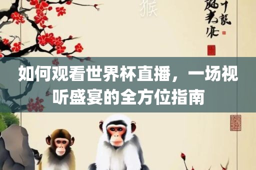 如何观看世界杯直播，一场视听盛宴的全方位指南眉山市正发家政服务有限公司