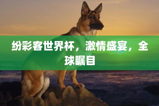 纷彩客世界杯，激情盛宴，全球瞩目