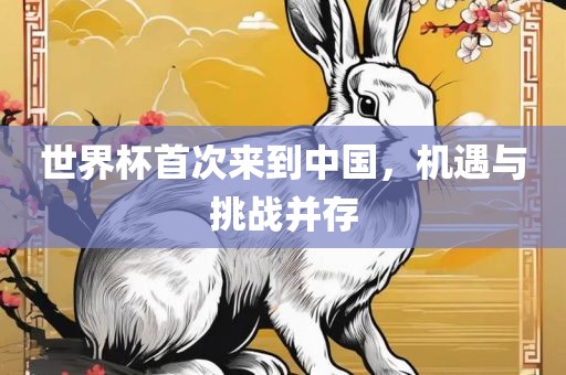世界杯首次来到中国，机遇与挑战并存