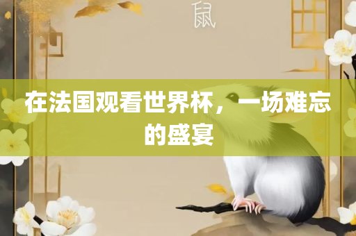 在法国观看世界杯，一场难忘的盛宴眉山市正发家政服务有限公司