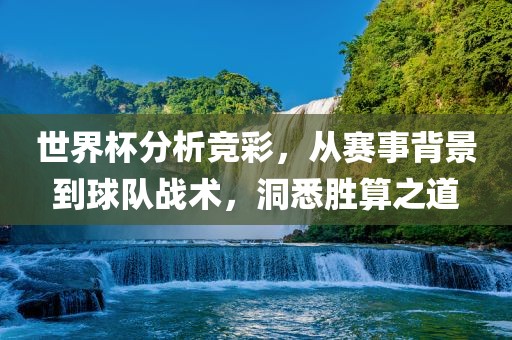 世界杯分析竞彩，从赛事背景到球队战术，洞悉胜算之道眉山市正发家政服务有限公司
