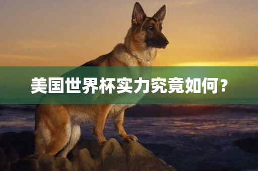 美国世界杯实力究竟如何？眉山市正发家政服务有限公司