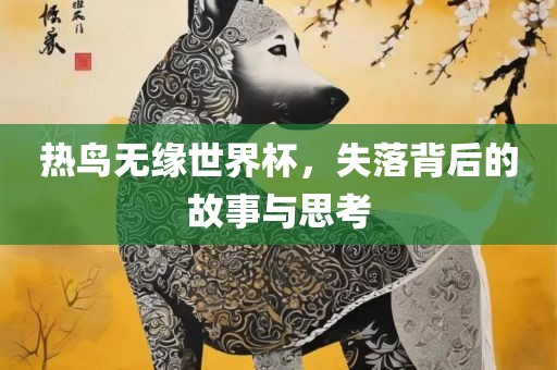 热鸟无缘世界杯，失落背后的故事与思考眉山市正发家政服务有限公司