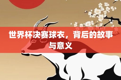 世界杯决赛球衣，背后的故事与意义
