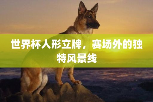 世界杯人形立牌，赛场外的独特风景线眉山市正发家政服务有限公司