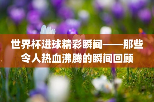 世界杯进球精彩瞬间——那些令人热血沸腾的瞬间回顾