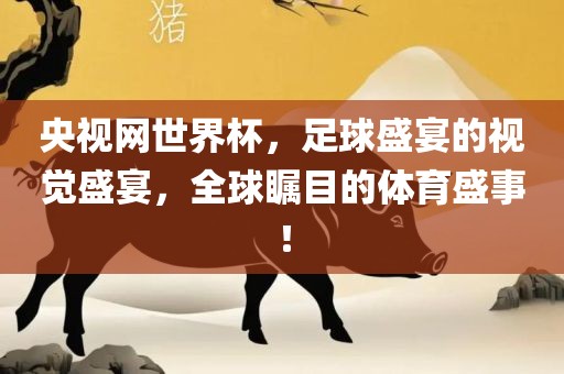 央视网世界杯，足球盛宴的视觉盛宴，全球瞩目的体育盛事！