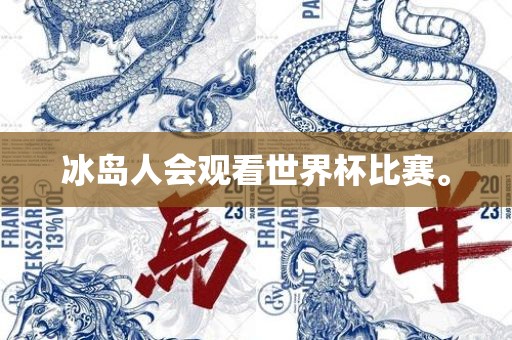 冰岛人会观看世界杯比赛。