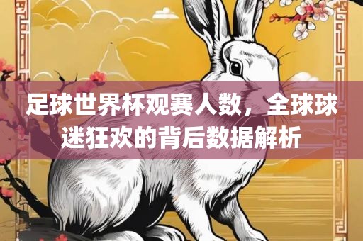足球世界杯观赛人数，全球球迷狂欢的背后数据解析眉山市正发家政服务有限公司