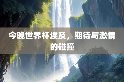 今晚世界杯埃及，期待与激情的碰撞眉山市正发家政服务有限公司