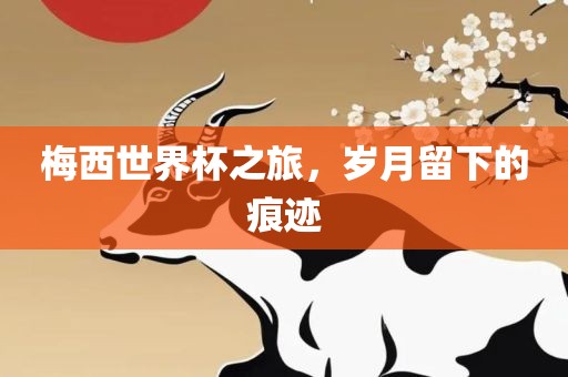 梅西世界杯之旅，岁月留下眉山市正发家政服务有限公司的痕迹