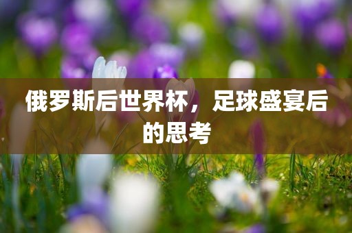俄罗斯后世界杯，足球盛宴后的思考眉山市正发家政服务有限公司