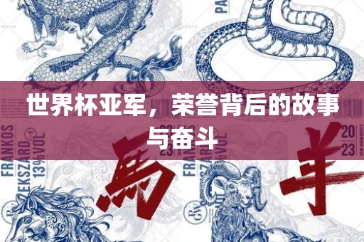 世界杯亚军，荣誉背后的故事与奋斗眉山市正发家政服务有限公司