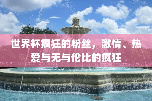世界杯疯狂的粉丝，激情、热爱与无与伦比的疯狂眉山市正发家政服务有限公司
