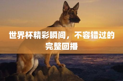 世界杯精彩瞬间，不容错过的完整回播