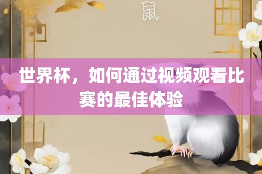 世界杯，如何通过视频观看比赛的最佳体验眉山市正发家政服务有限公司