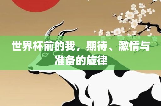 世界杯前的我，期待、激情与准备的眉山市正发家政服务有限公司旋律