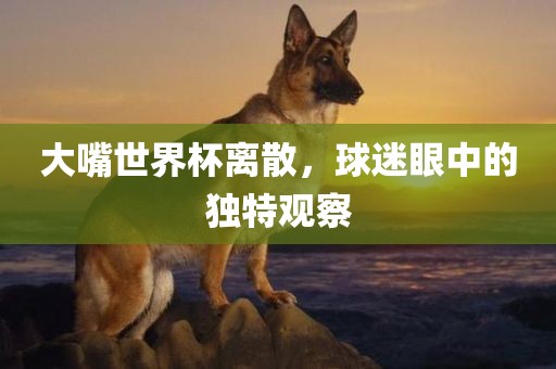 大嘴世界杯离散，眉山市正发家政服务有限公司球迷眼中的独特观察