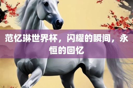 范忆琳世界杯，闪耀的瞬间，永恒的回忆