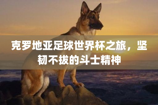 克罗地亚足球世界杯之旅，坚韧不拔的斗士精神