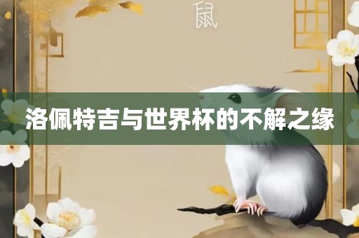 洛佩特吉与世界杯的不解之缘眉山市正发家政服务有限公司