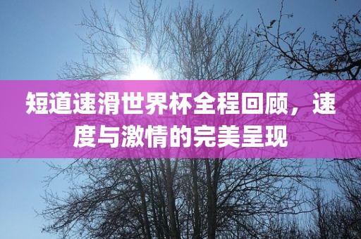 短道速滑世界杯全程回顾，速度与激情的完美呈现