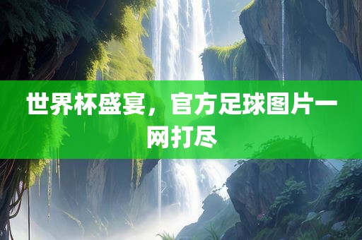 世界杯盛宴，官方足球图片一网打尽