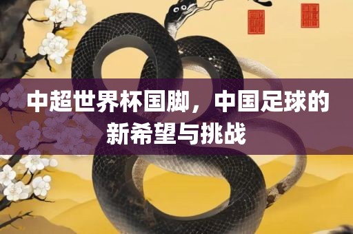 中超世界杯国脚，中国足球的新希望与挑战眉山市正发家政服务有限公司