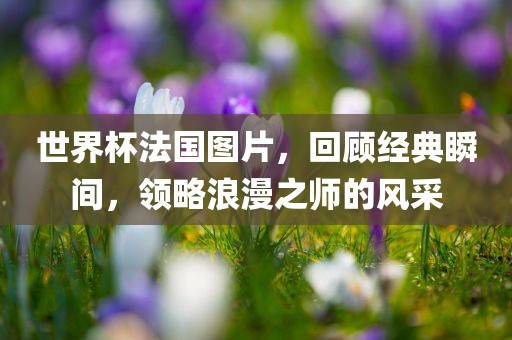 世界杯法国图片，回顾经典瞬间，领略浪漫之师的风采