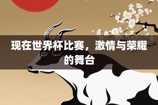 现在世界杯比赛，激情与荣耀的舞台