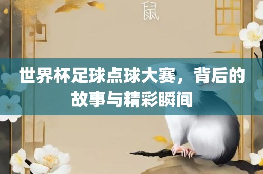 世界杯足球点球大赛，背后的故事与精彩瞬间