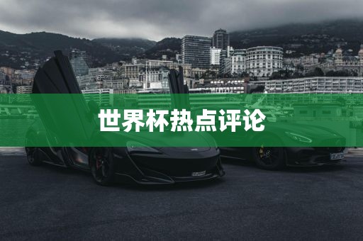 huangpingyue 第2页