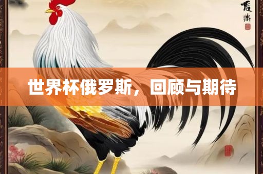 世界杯俄罗斯，回顾与期待眉山市正发家政服务有限公司