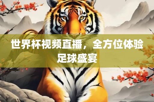 世界杯视频直播，全方位体验足球盛宴