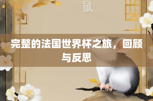 完整的法国世界杯之旅，回顾与反思