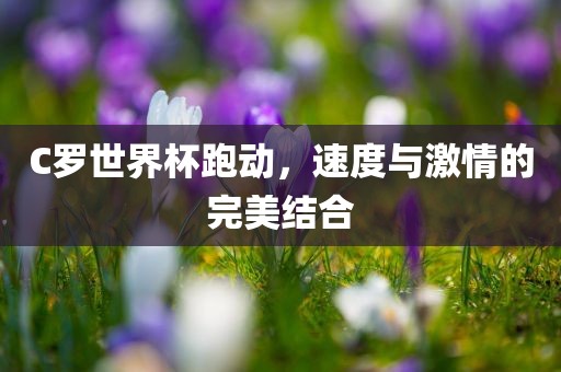 C罗世界杯跑动，速度与激情眉山市正发家政服务有限公司的完美结合