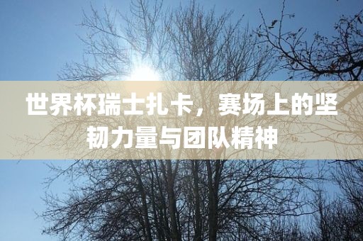 世界杯瑞士扎卡，赛场上眉山市正发家政服务有限公司的坚韧力量与团队精神