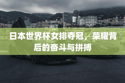 日本世界杯女排夺冠，荣耀背后的奋斗与拼搏眉山市正发家政服务有限公司