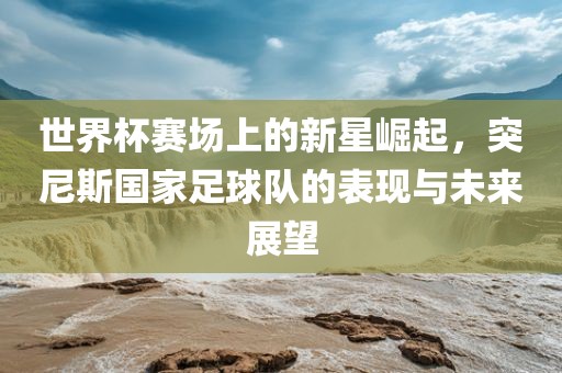 世界杯赛场上的新星崛起，突尼斯国家足球队的表现与未来展望眉山市正发家政服务有限公司