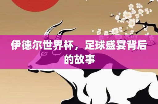 伊德尔世界杯，足球盛宴背后的故事