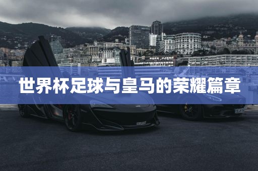 世界杯足球 第3页