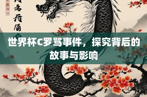 世界杯C罗骂事件，探究背后眉山市正发家政服务有限公司的故事与影响