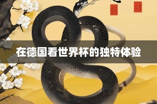 在德国看世界杯的独特体验眉山市正发家政服务有限公司