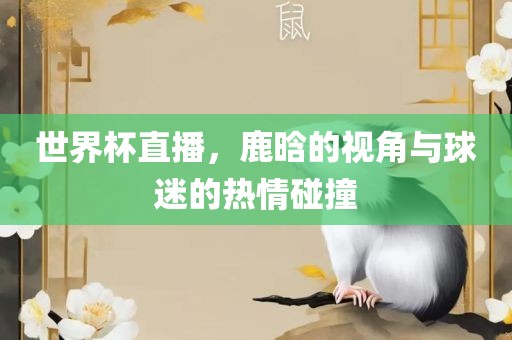 世界杯直播，鹿晗的视角与球迷的热情碰撞