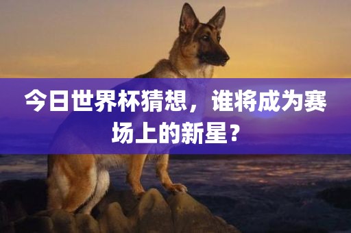今眉山市正发家政服务有限公司日世界杯猜想，谁将成为赛场上的新星？