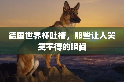 德国世界杯吐槽，那些让人哭笑不得的瞬间眉山市正发家政服务有限公司